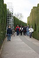 IMG 1442
