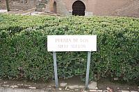 IMG 1445