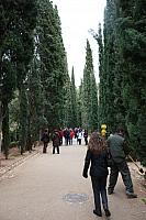 IMG 1449