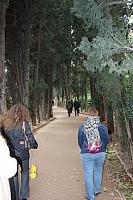 IMG 1451