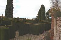IMG 1454