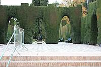 IMG 1457