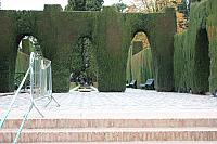 IMG 1458