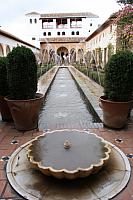 IMG 1469