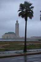 IMG 1507