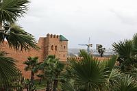 IMG 1562
