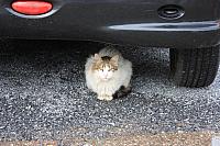 IMG 1564
