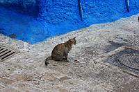 IMG 1575