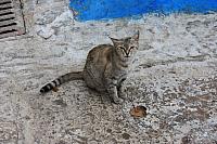 IMG 1576