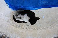 IMG 1579