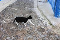 IMG 1580