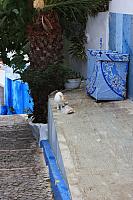 IMG 1582