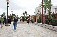 IMG 1590