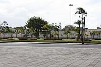 IMG 1618