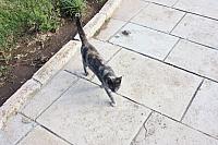 IMG 1624