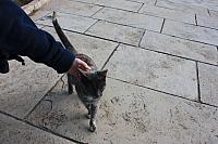 IMG 1625