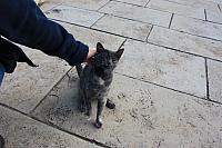 IMG 1626