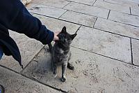IMG 1627