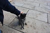 IMG 1628