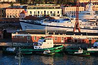 IMG 1754