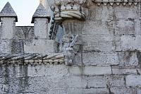 IMG 1820
