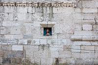 IMG 1837