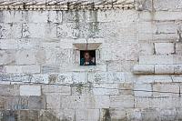 IMG 1839