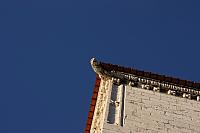 IMG 1901