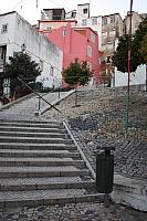 IMG 1921