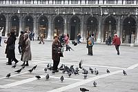 IMG 0306