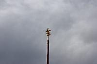 IMG 0383