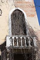 IMG 0398