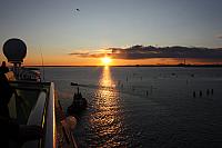IMG 0452