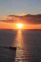IMG 0454