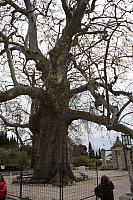 IMG 0648