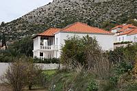 IMG 0650