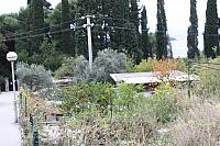 IMG 0651