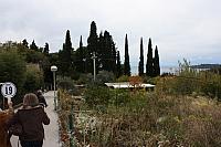 IMG 0652