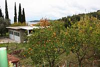 IMG 0653