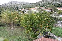IMG 0655