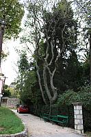 IMG 0656
