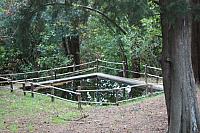 IMG 0657