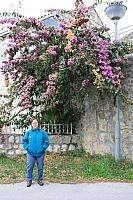 IMG 0658