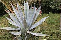 IMG 0664