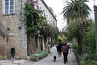 IMG 0666