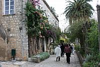 IMG 0667