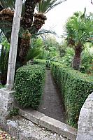 IMG 0669