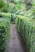 IMG 0670
