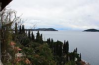IMG 0679
