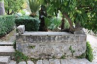 IMG 0682